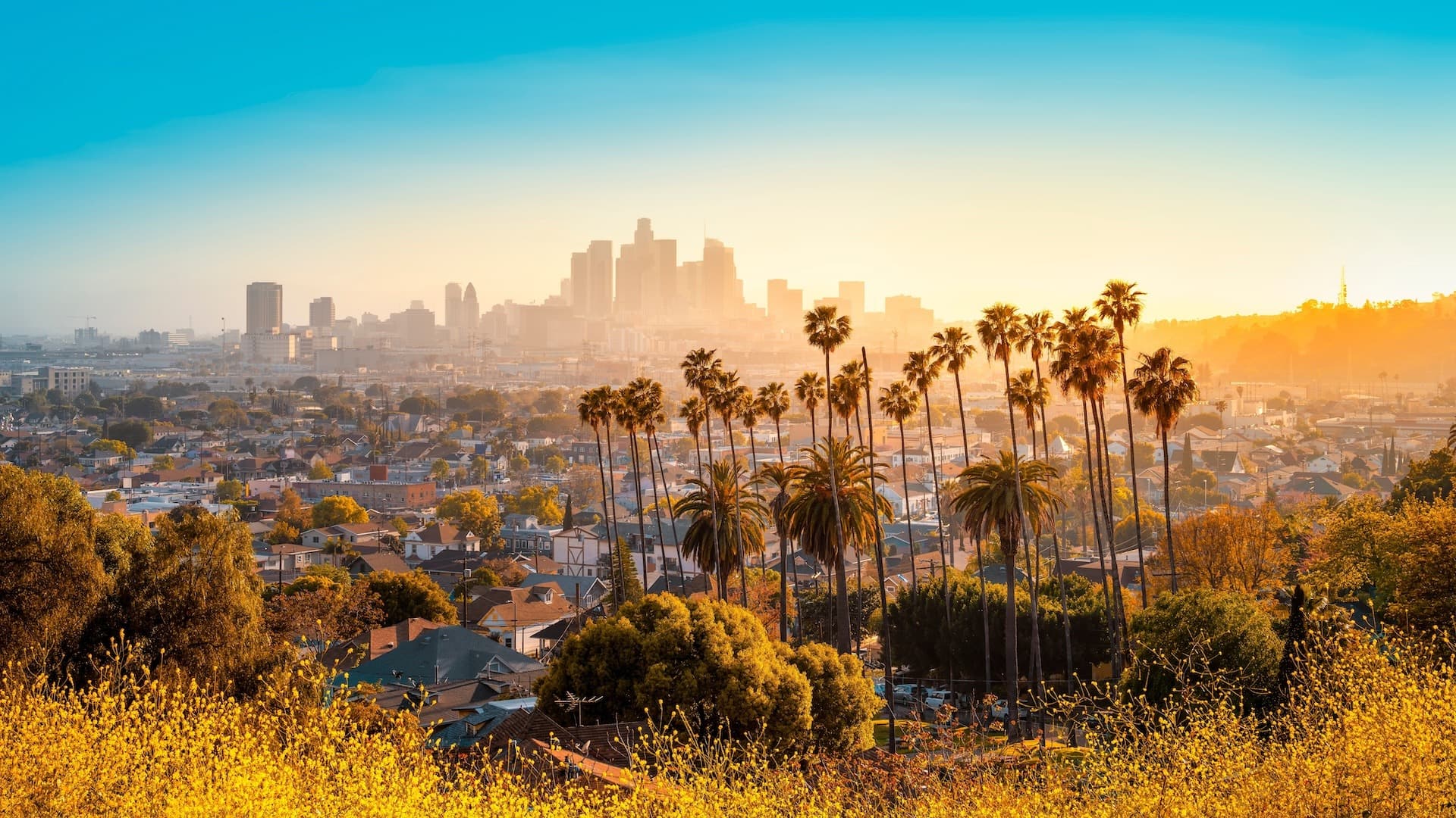 LA Black Pride city